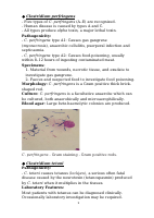 Bacteria Pathogens2.docx